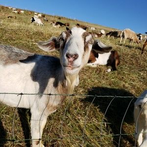 Meet your Posher, Min
